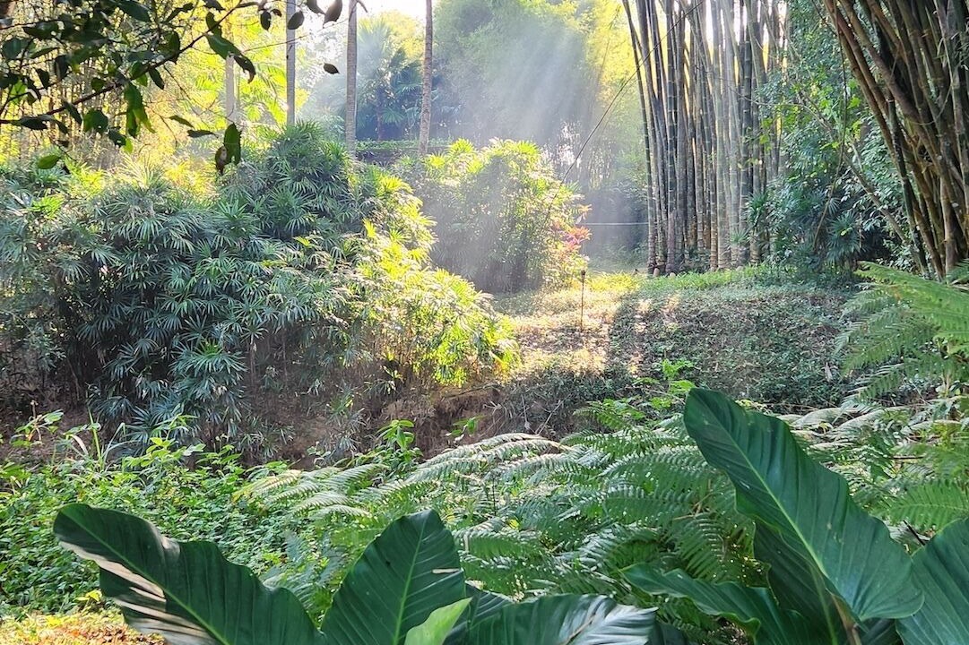 Photo of Others in Wieng