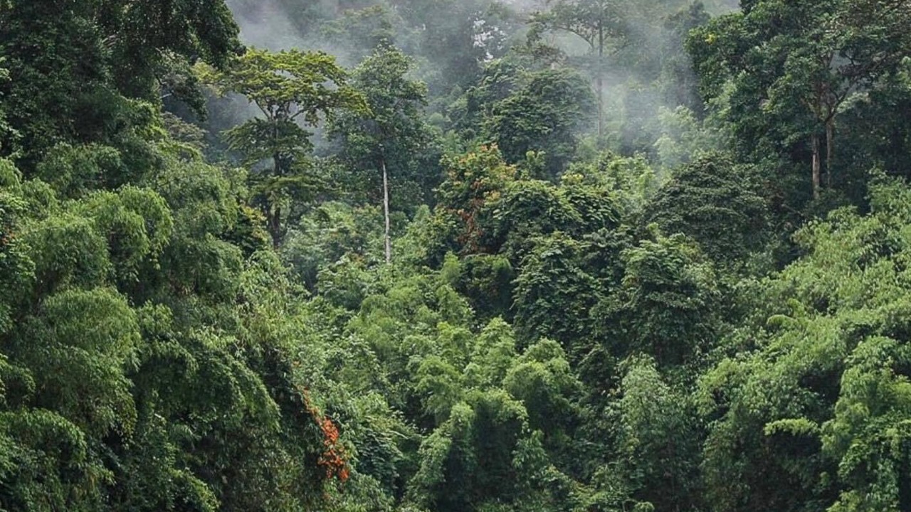 Photo of Others in Ban Ta Khun