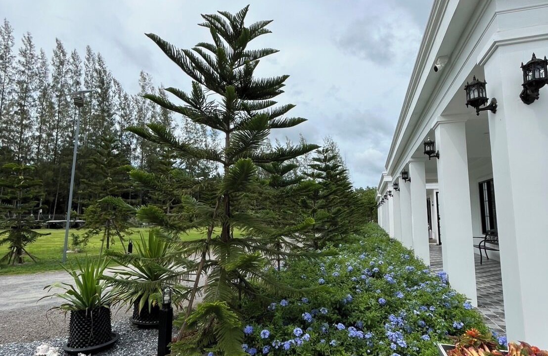 Photo of Outdoor in Sai Thai