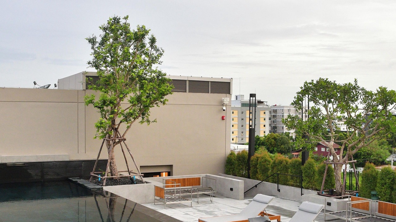 Photo of Outdoor in Don Muang