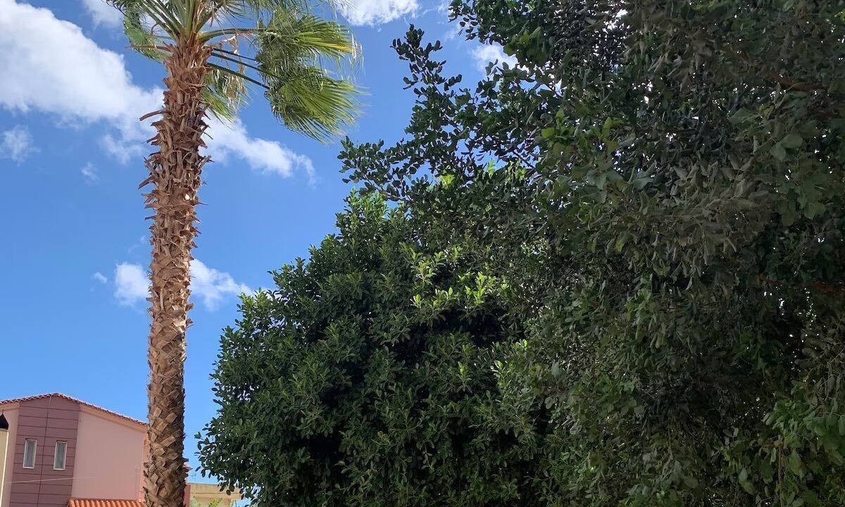 Photo of Outdoor in Malevizi