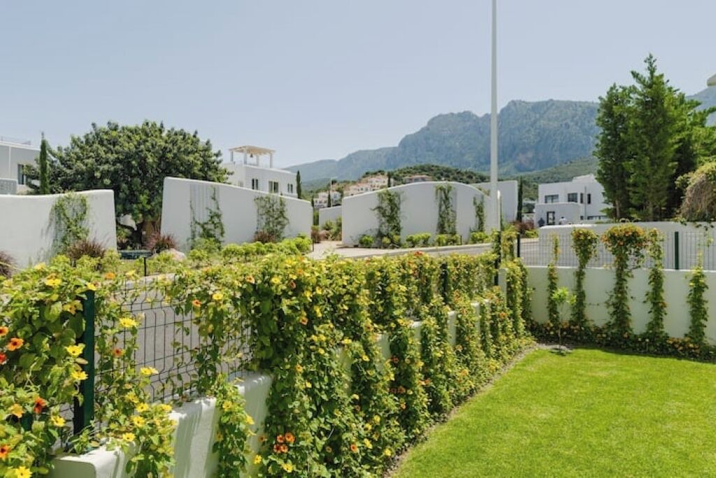 Photo of Outdoor in Kyrenia District