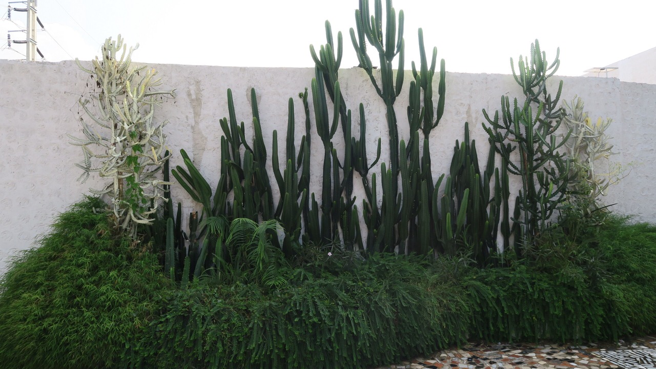 Photo of Outdoor in San Sai