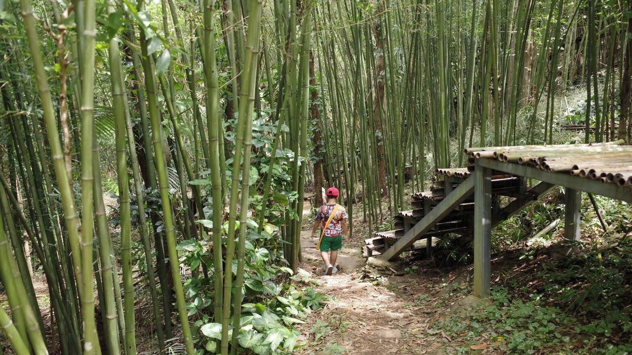 Photo of Outdoor in Chiang Rai Province