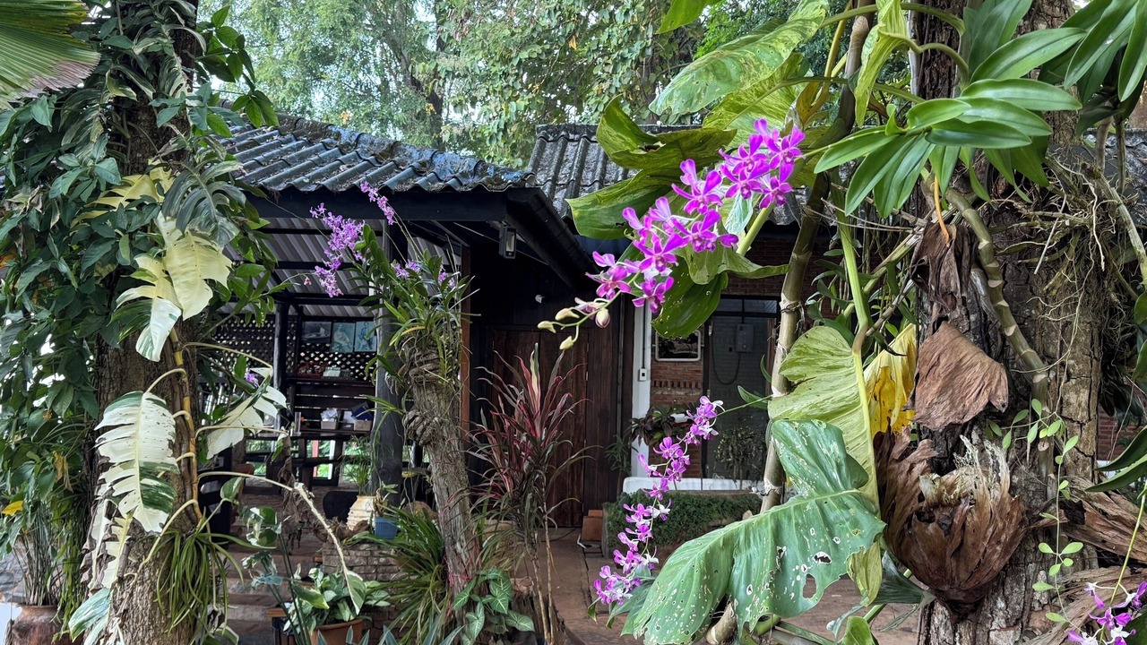 Photo of Outdoor in Thong Pha Phum