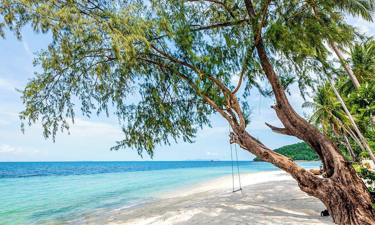 Photo of Others in Lipa Noi