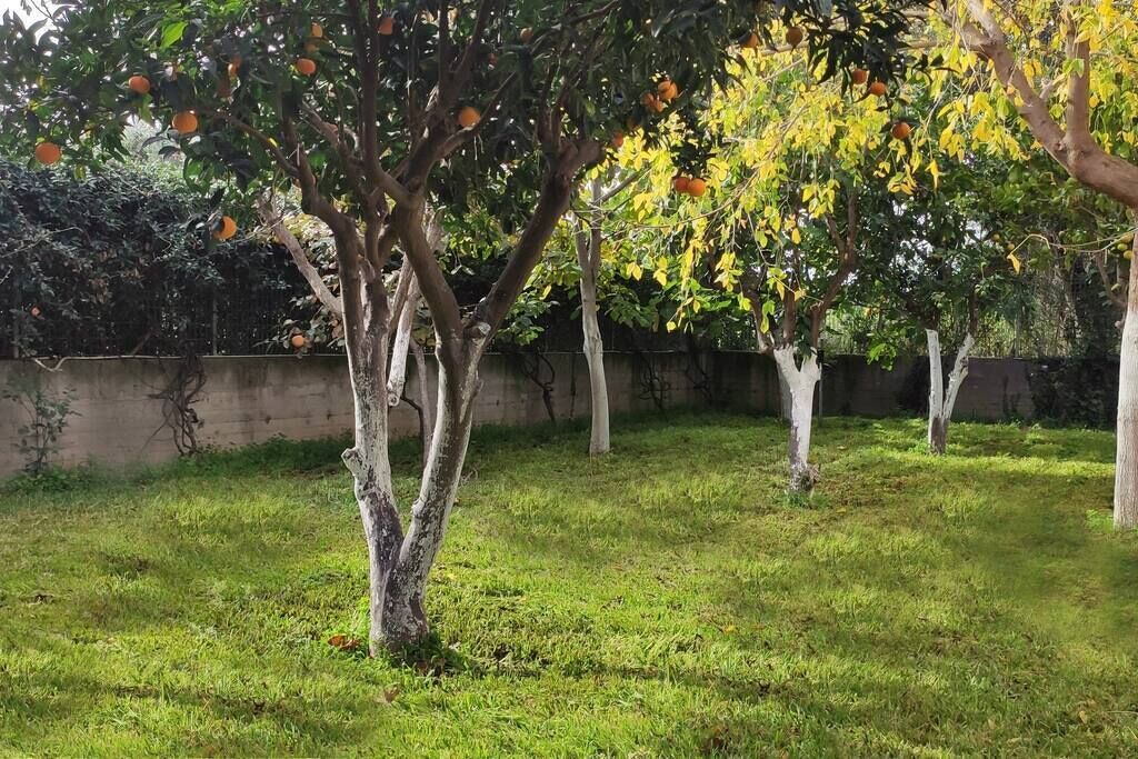Photo of Outdoor in West Achaea