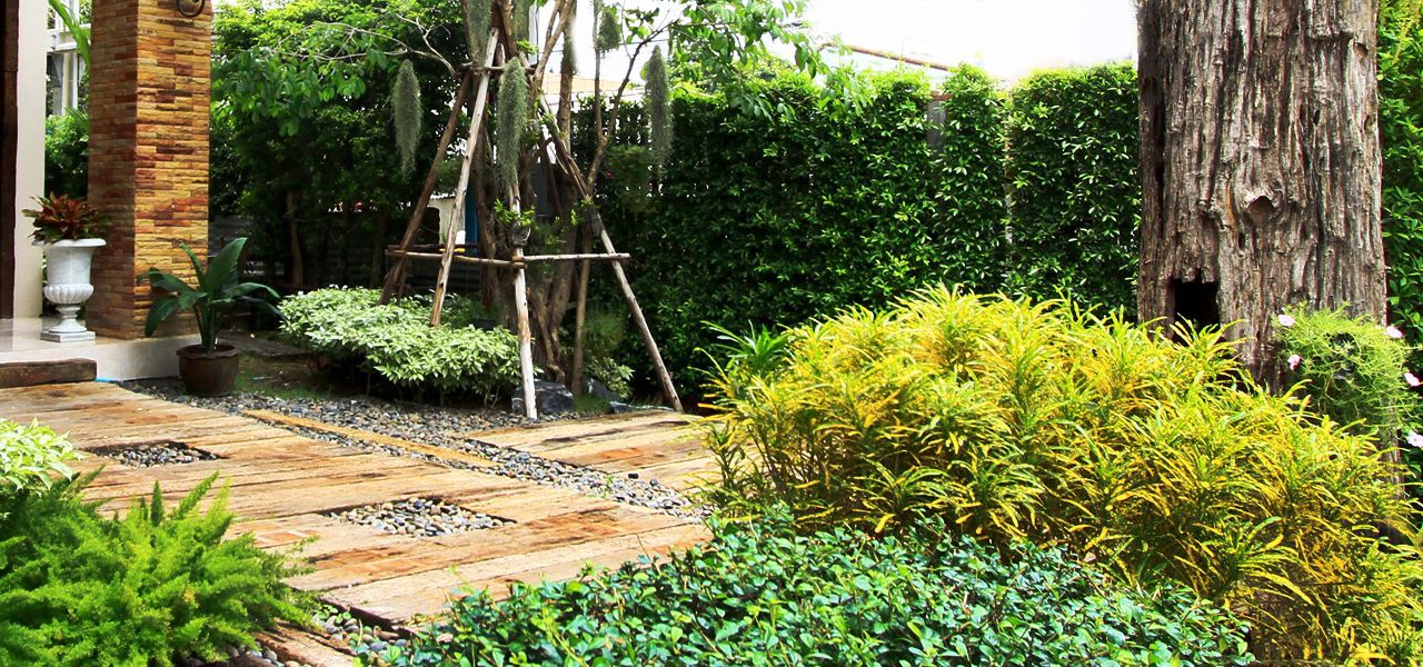 Photo of Outdoor in Wong Sawang