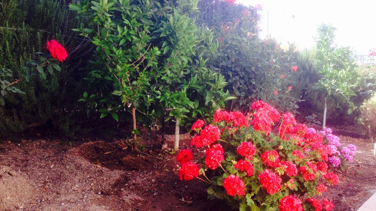 Photo of Outdoor in Poros