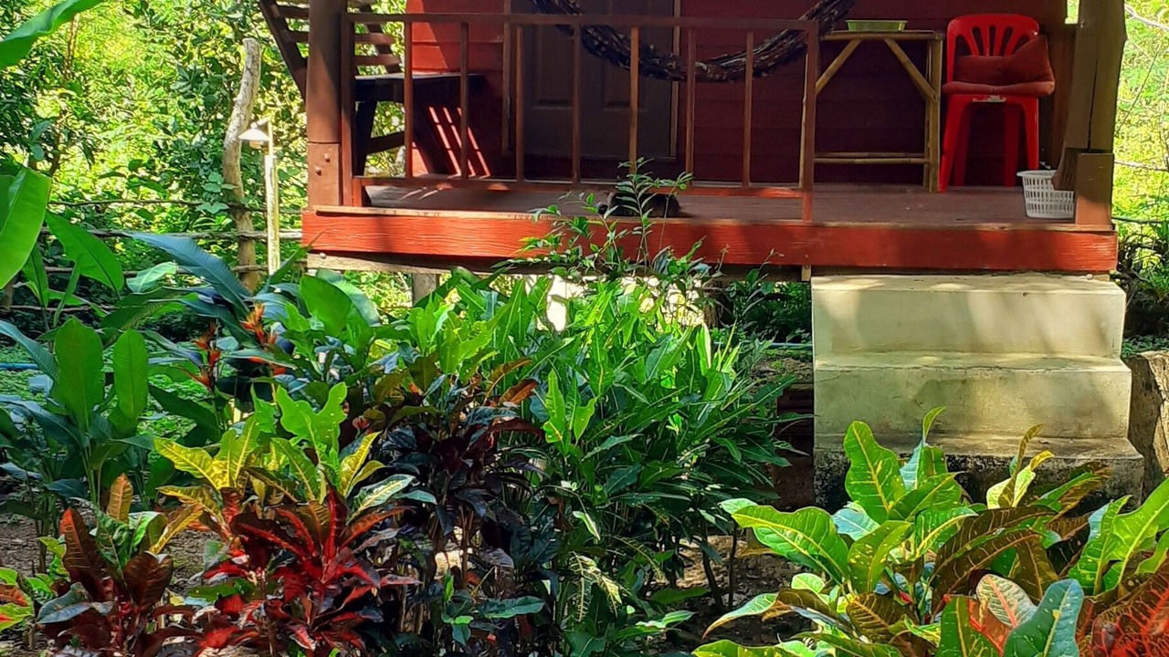 Photo of Outdoor in Ko Lanta
