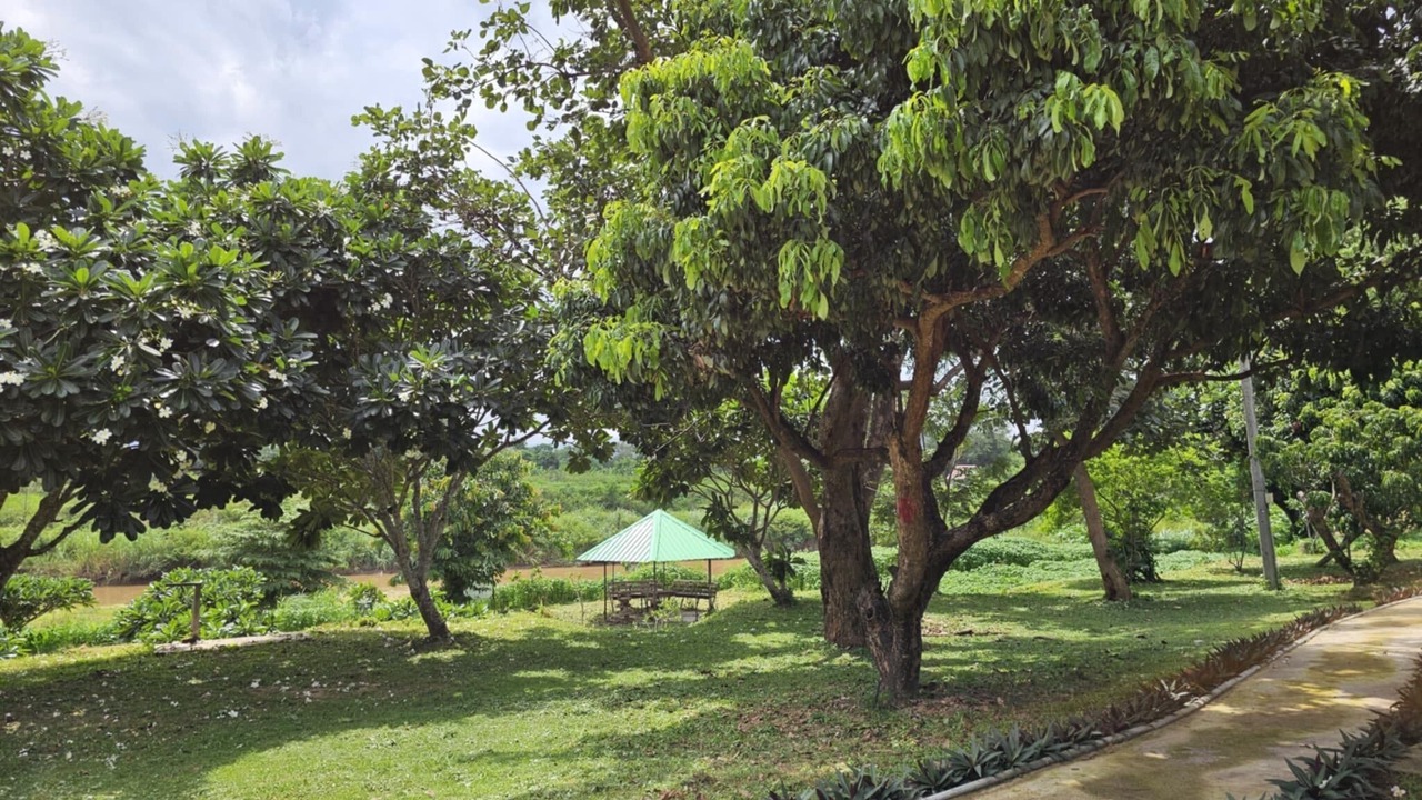 Photo of Outdoor in San Sai