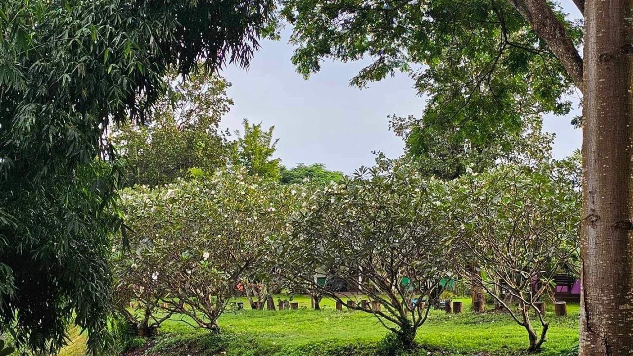 Photo of Outdoor in San Sai