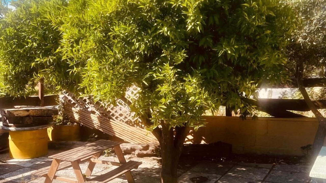 Photo of Outdoor in Kalavarda