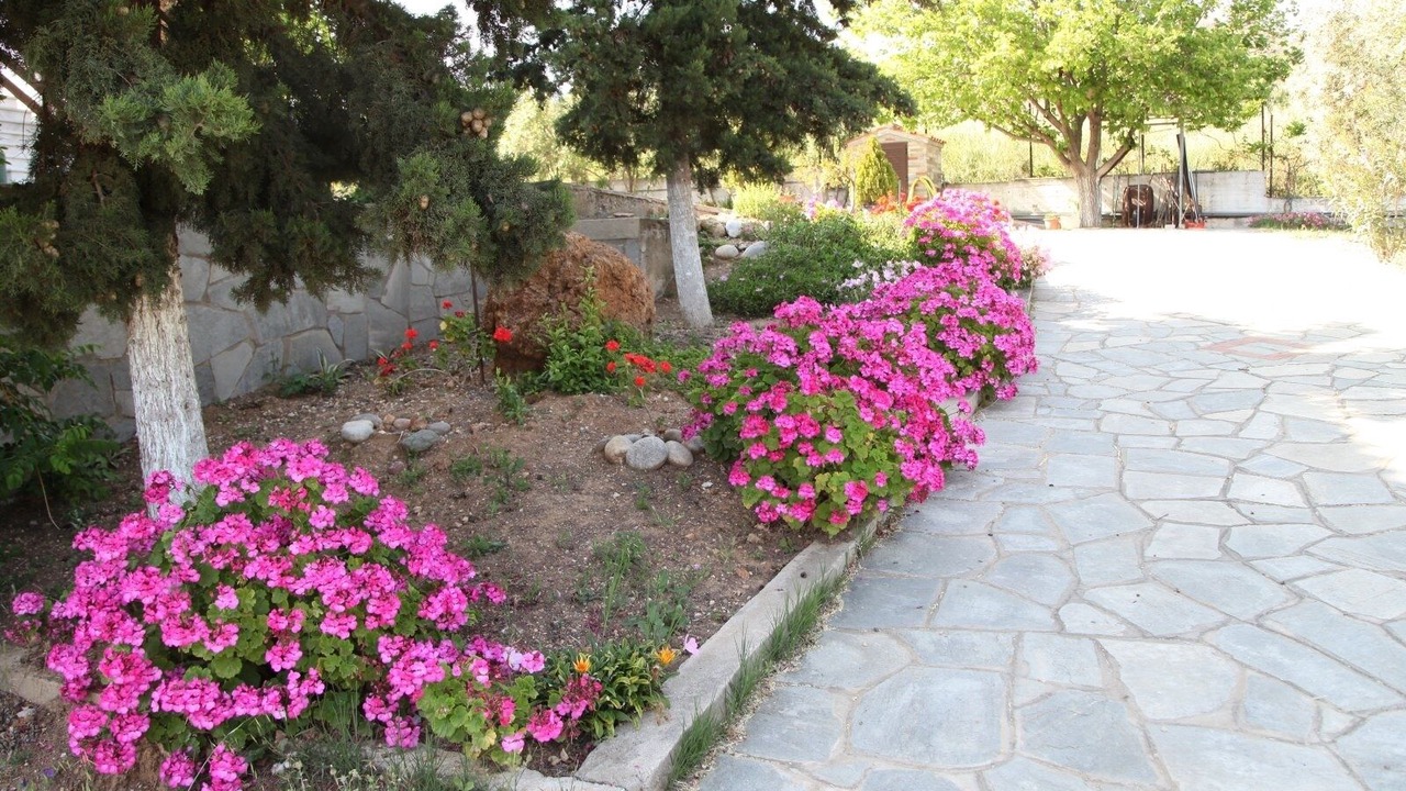 Photo of Outdoor in Ouranoupoli