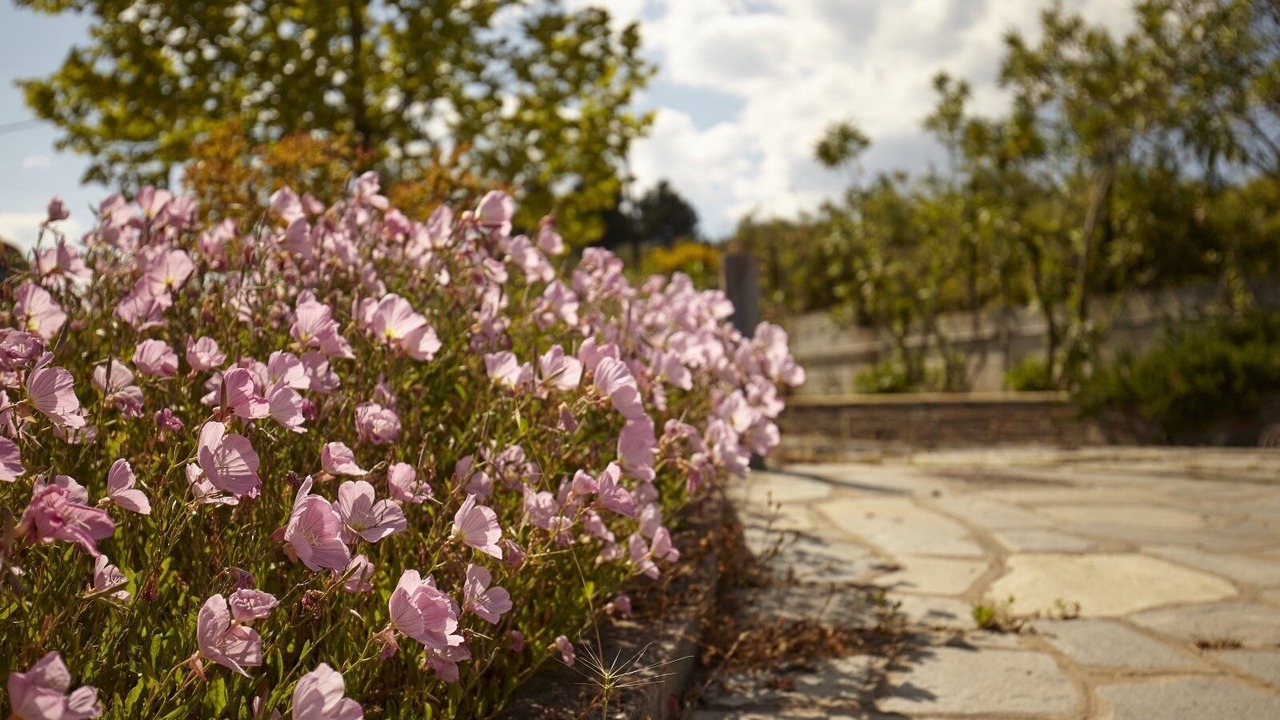 Photo of Outdoor in Ouranoupoli