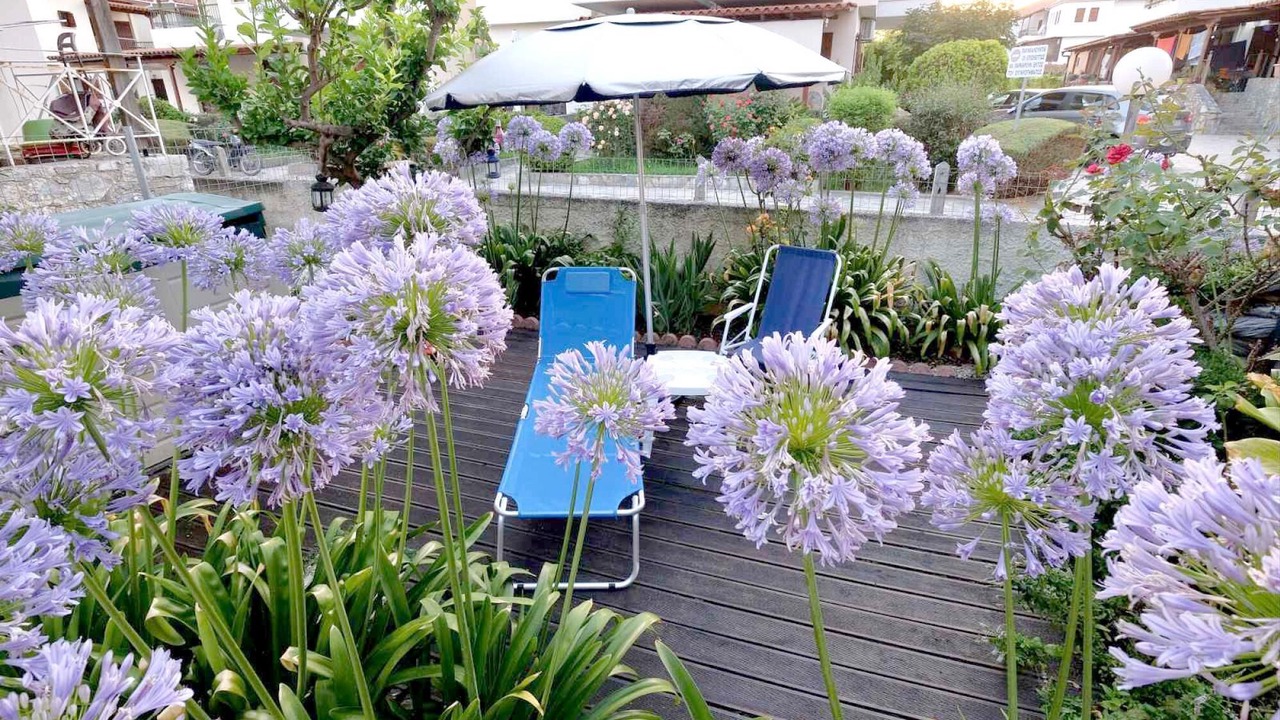 Photo of Outdoor in Ano Lechonia