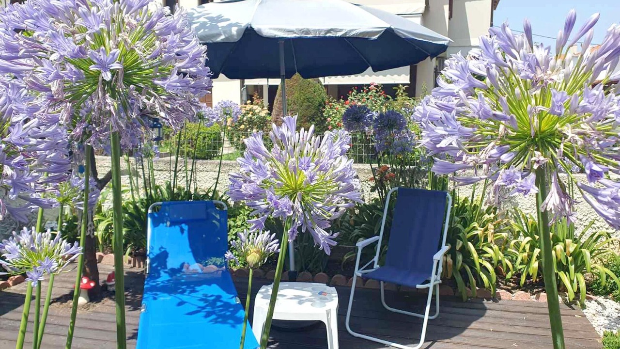 Photo of Outdoor in Ano Lechonia