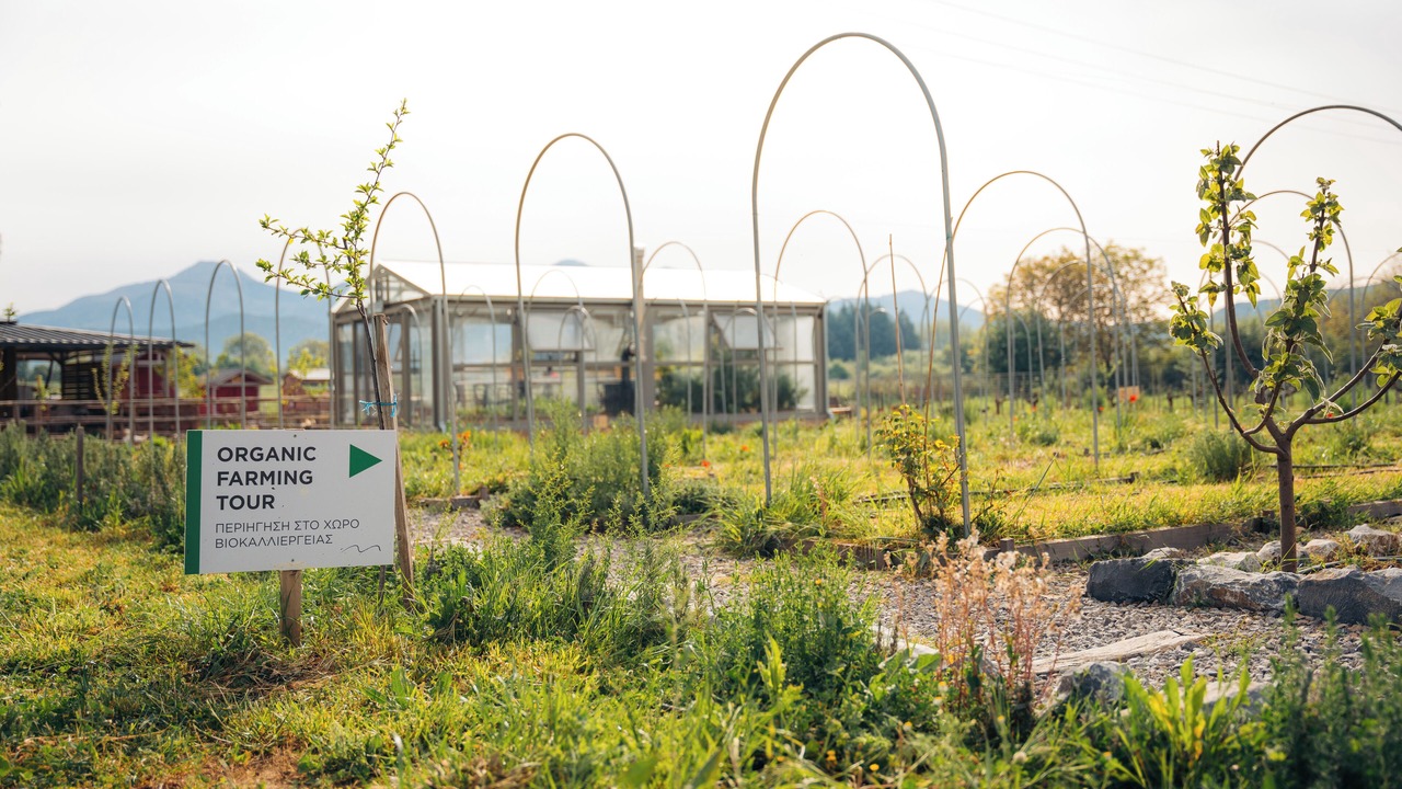 Photo of Outdoor in Arcadia Region