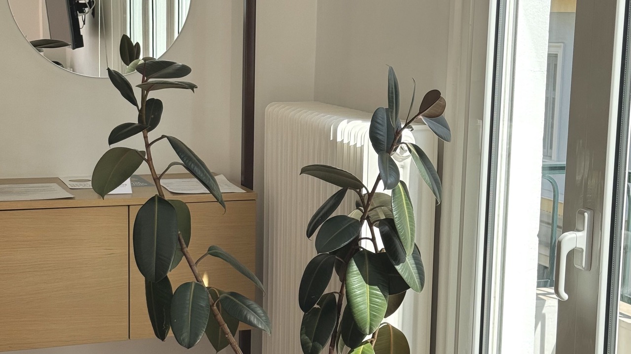 Photo of Bedroom in Kaisariani