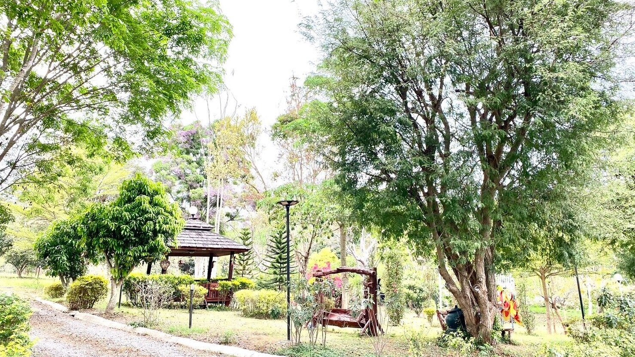 Photo of Others in Nong Nam Daeng