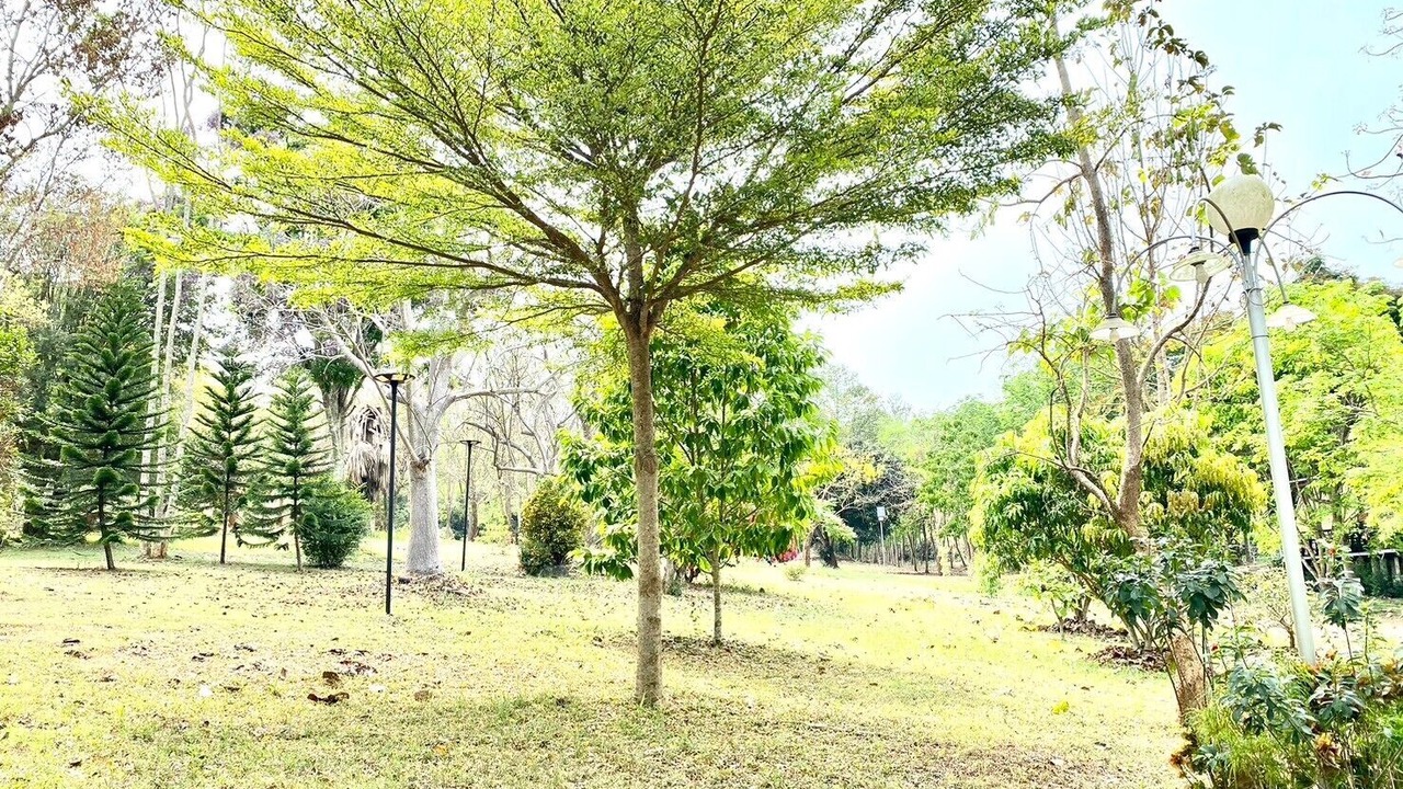 Photo of Outdoor in Nong Nam Daeng