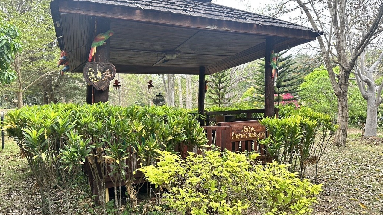 Photo of Others in Nong Nam Daeng