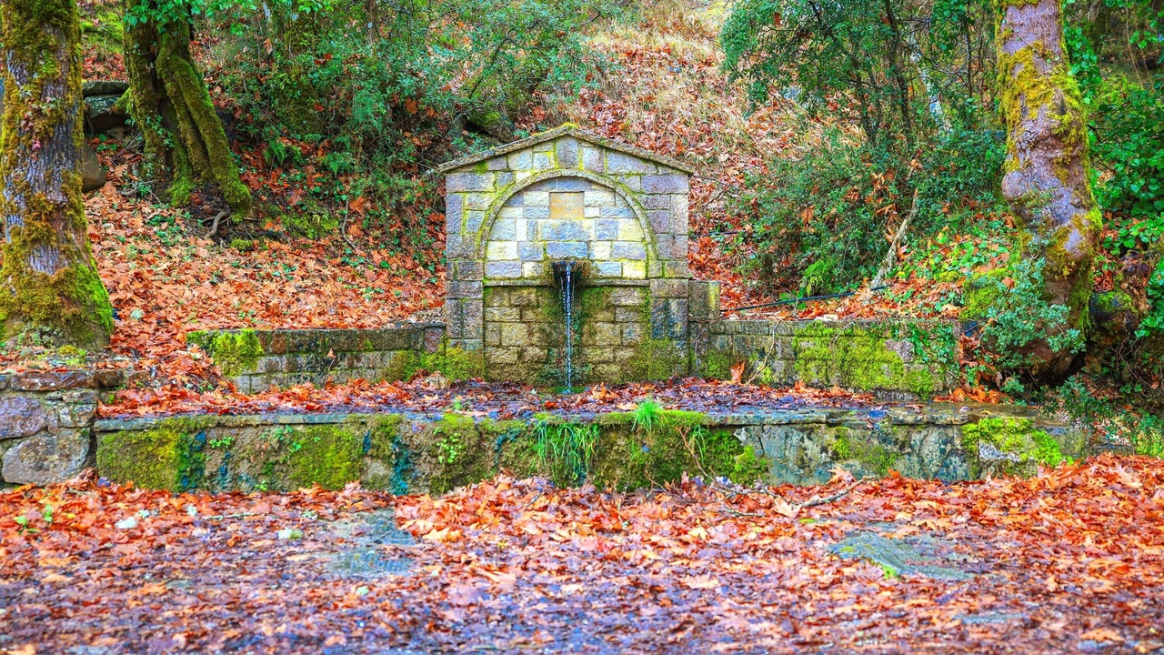 Photo of Outdoor in Terpsithea