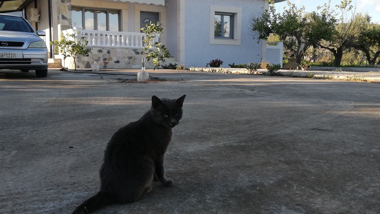 Photo of Outdoor in Pythagorion