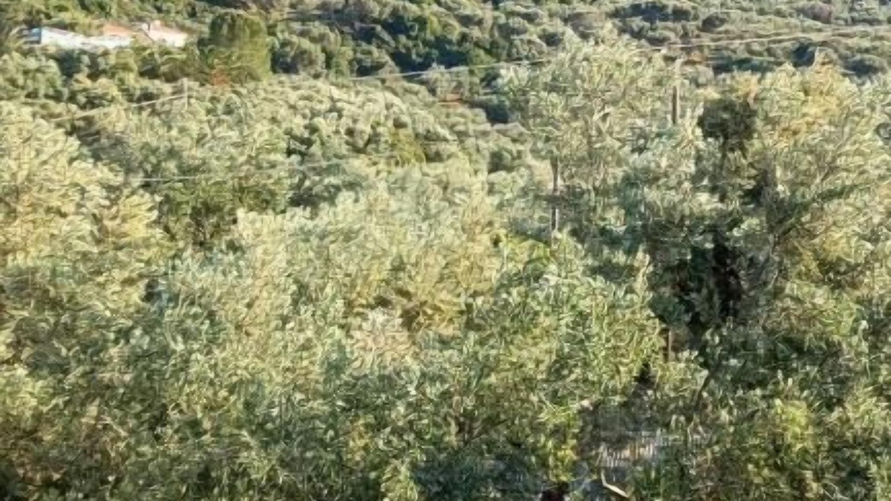 Photo of Others in Limni Keri
