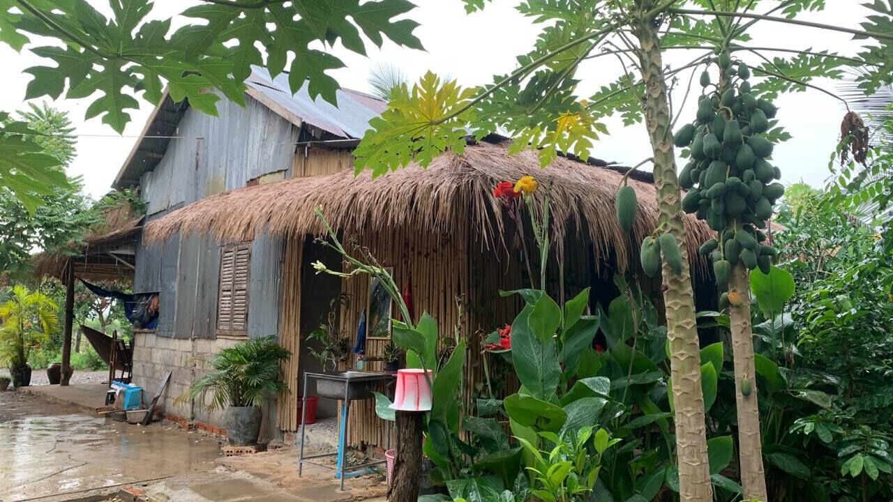Photo of Outdoor in Banan