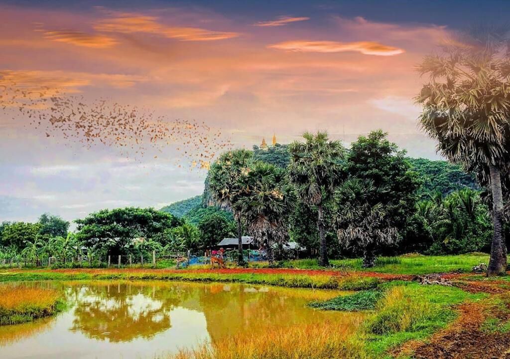 Photo of Outdoor in Banan