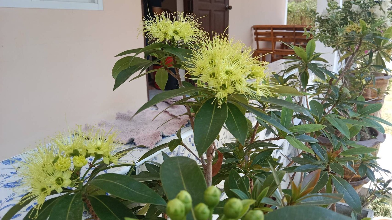 Photo of Bedroom in Khanom