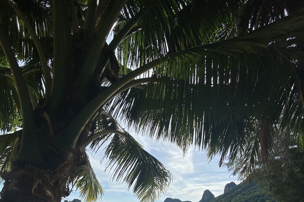 Photo of Outdoor in Don Sak