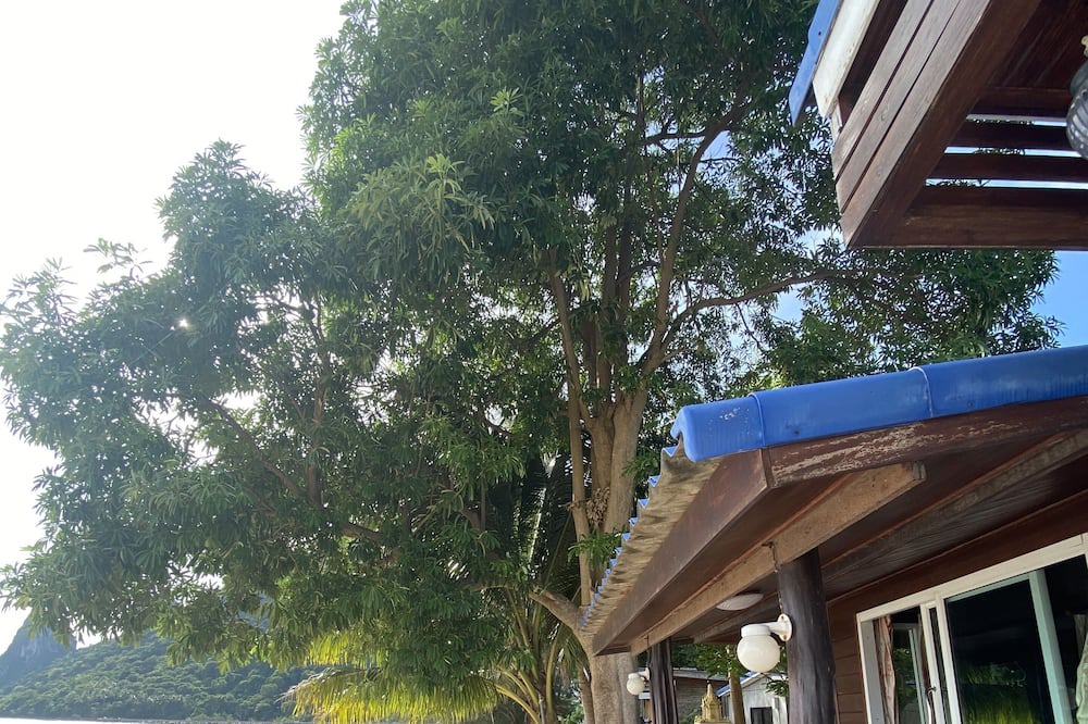 Photo of Outdoor in Don Sak