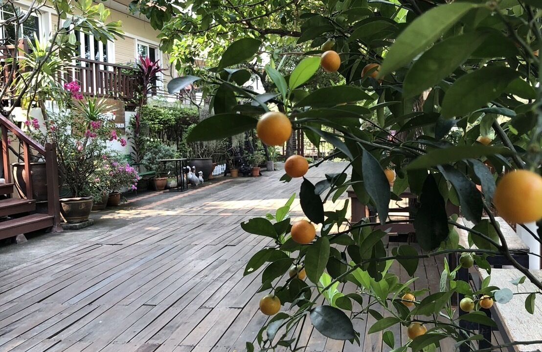 Photo of Outdoor in Ayutthaya