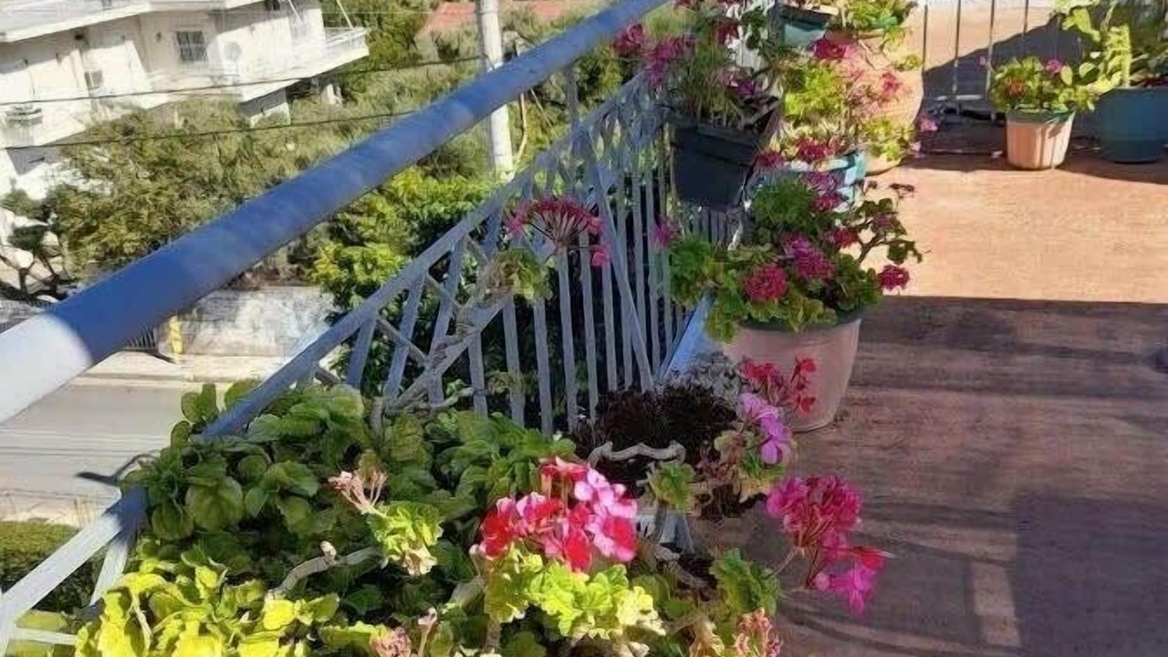 Photo of Outdoor in Patras