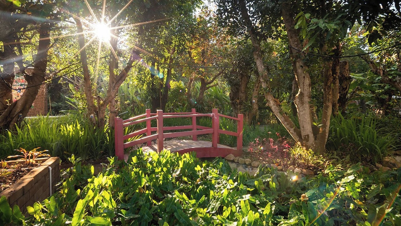 Photo of Outdoor in Choeng Doi