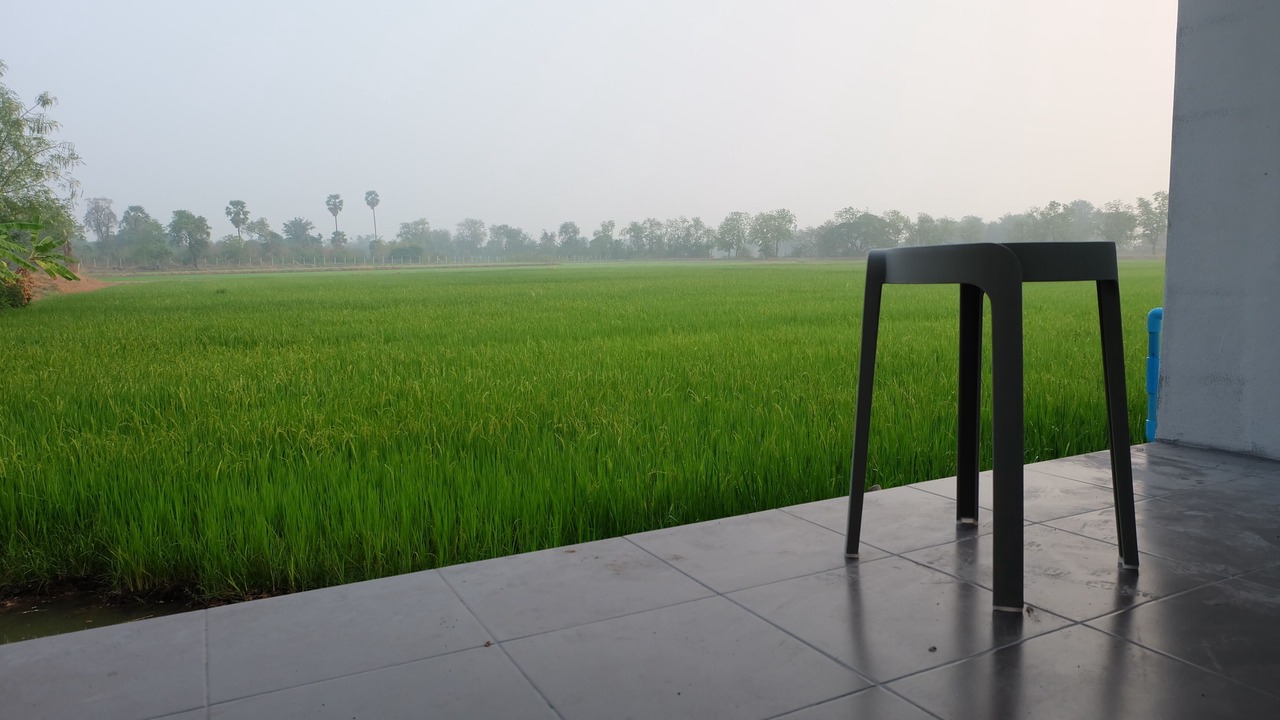 Photo of Others in Chai Nat