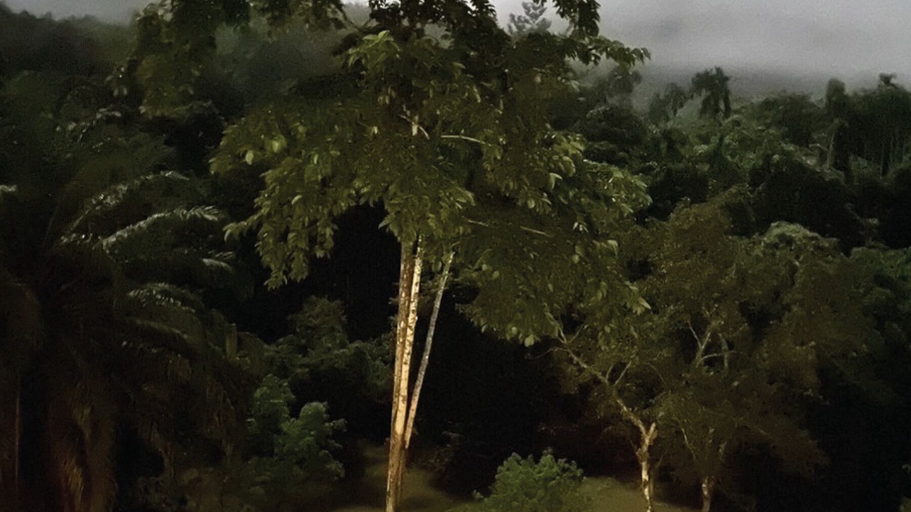 Photo of Outdoor in Khlong Sok