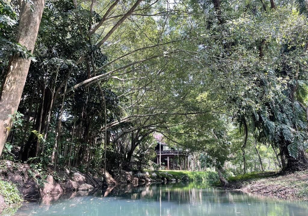 Photo of Others in Nong Nam Daeng