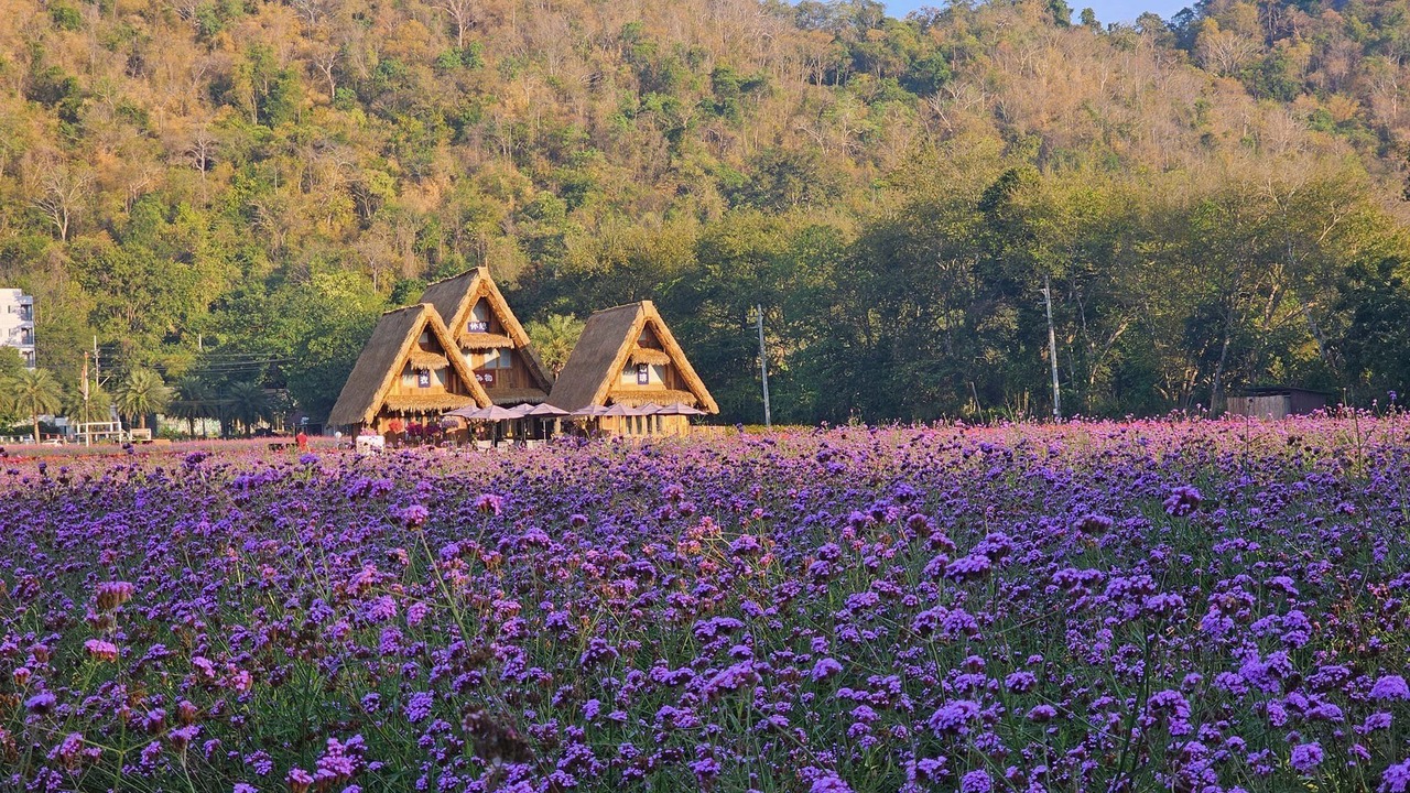 Photo of Others in Nong Nam Daeng