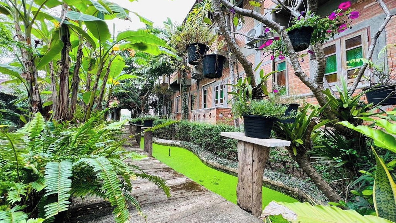 Photo of Outdoor in Pa Daet