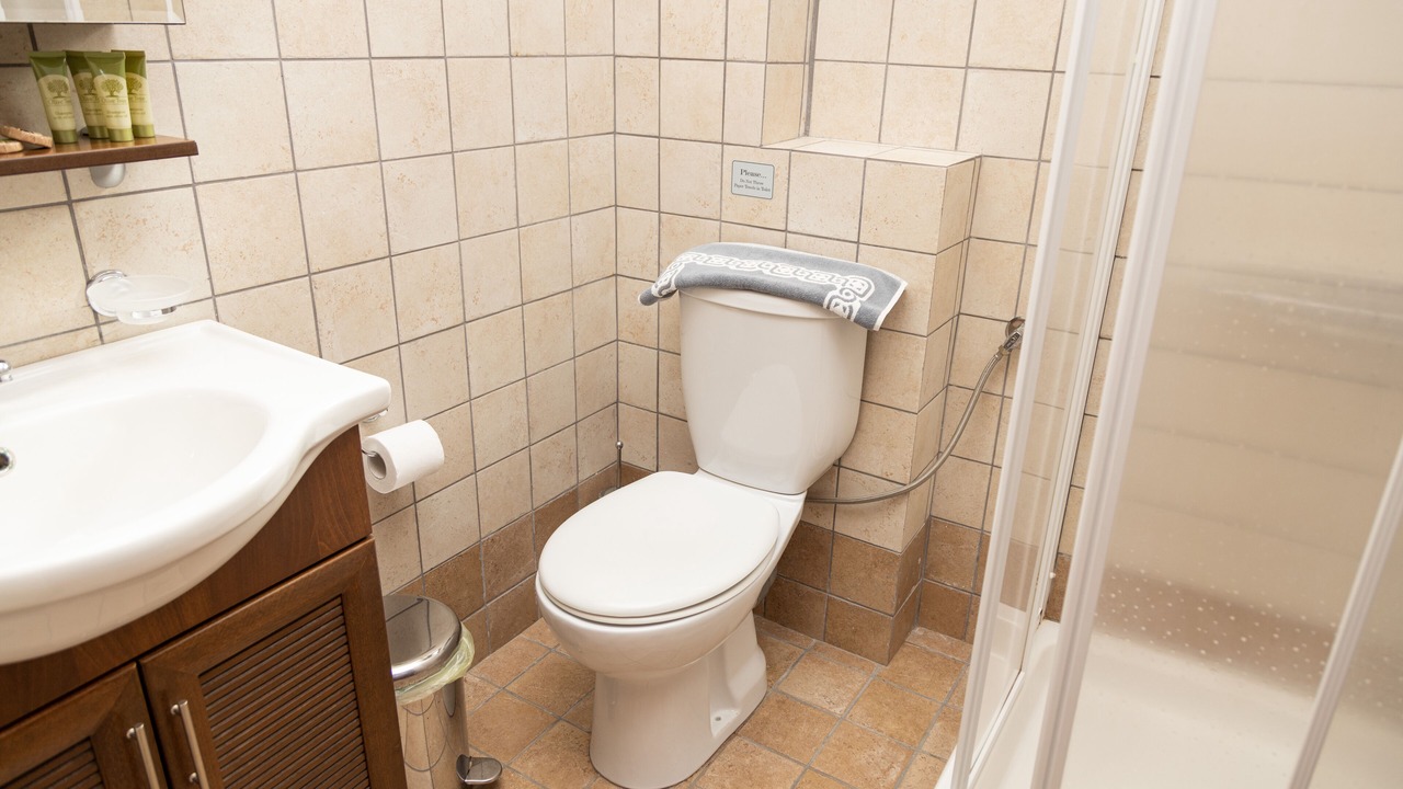 Photo of Bathroom in Elati