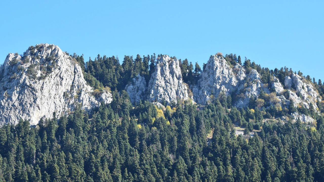 Photo of Others in Elati