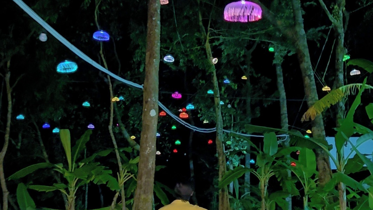 Photo of Outdoor in Prey Nob