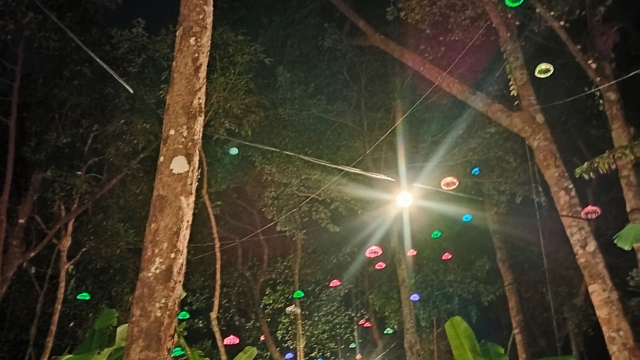 Photo of Outdoor in Prey Nob