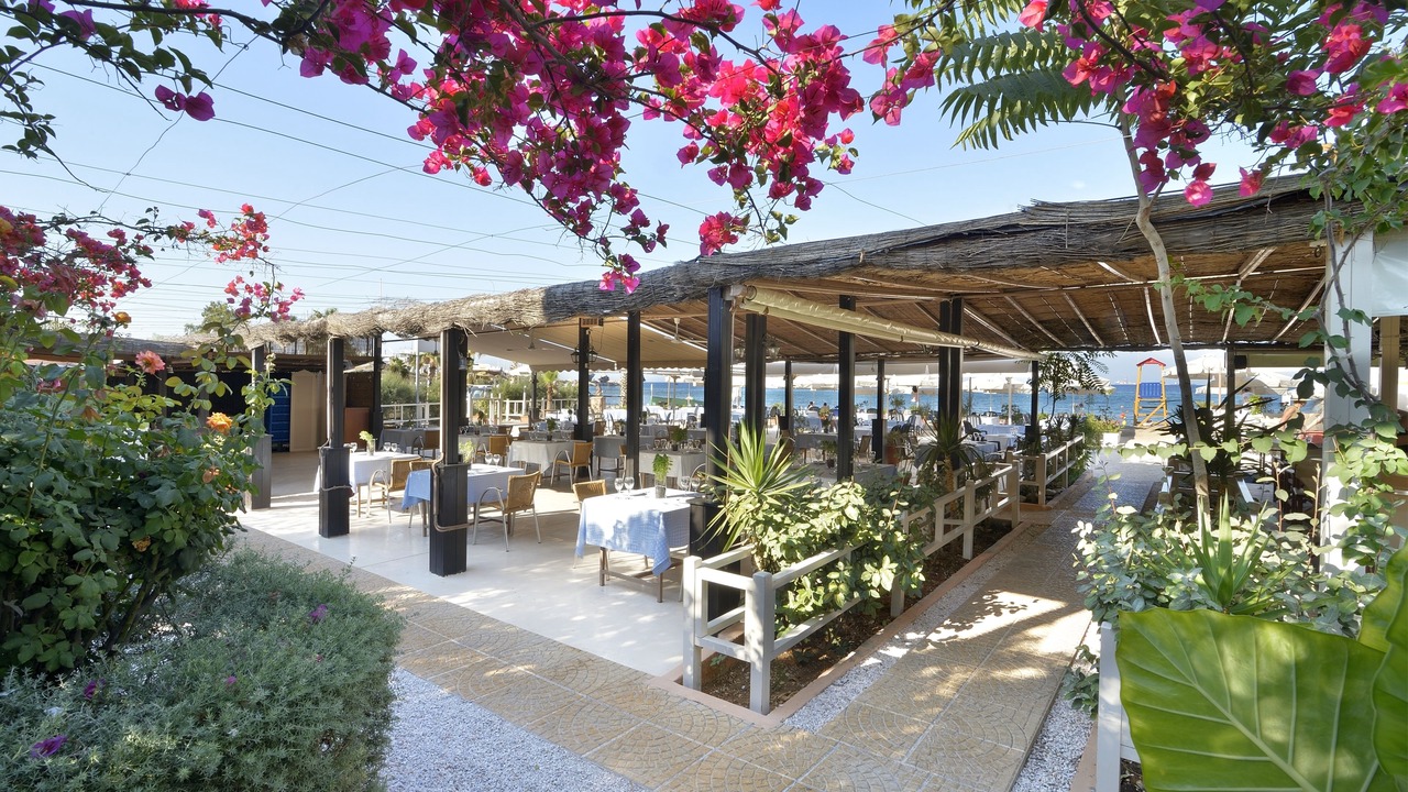 Photo of Others in Palaio Faliro