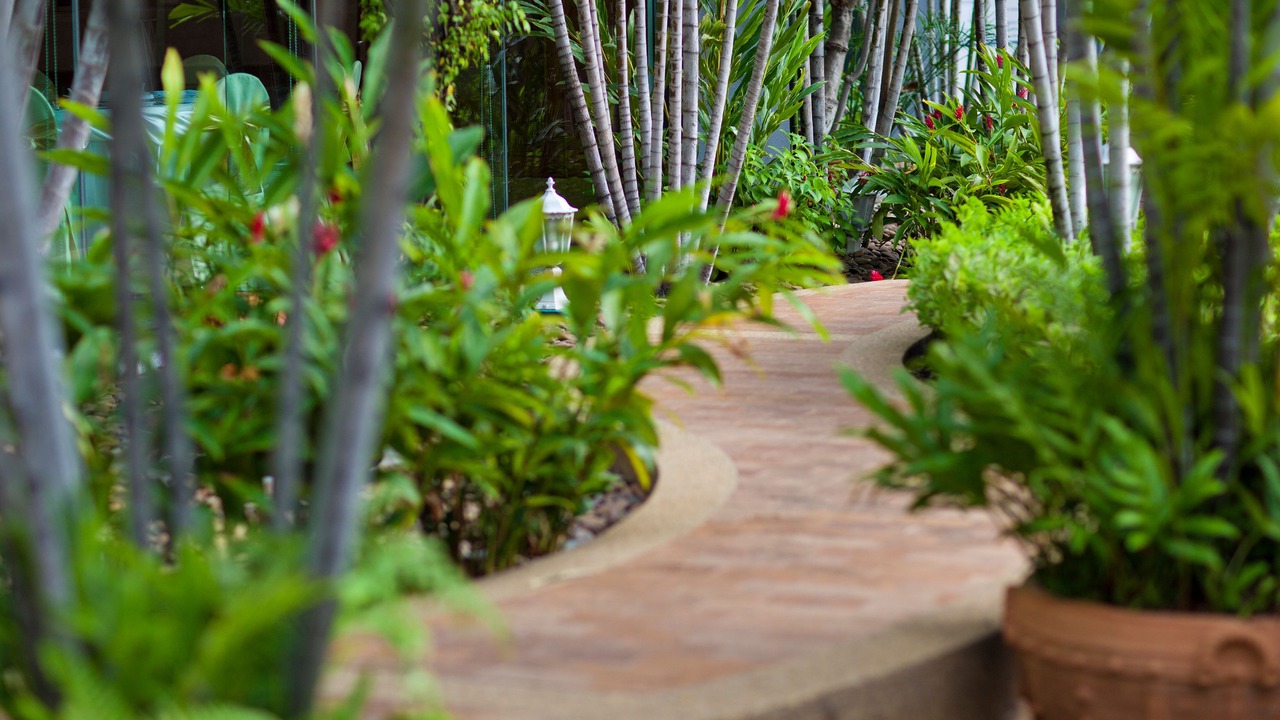 Photo of Outdoor in Nong Bon