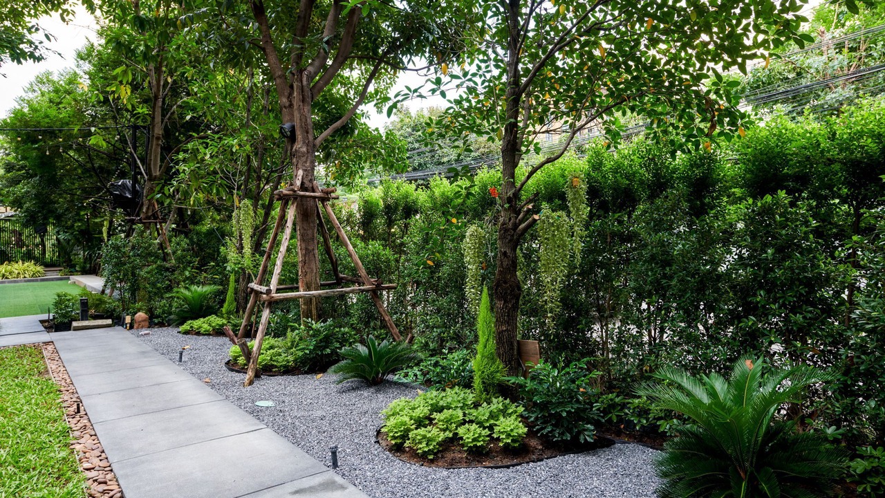 Photo of Outdoor in Thung Song Hong