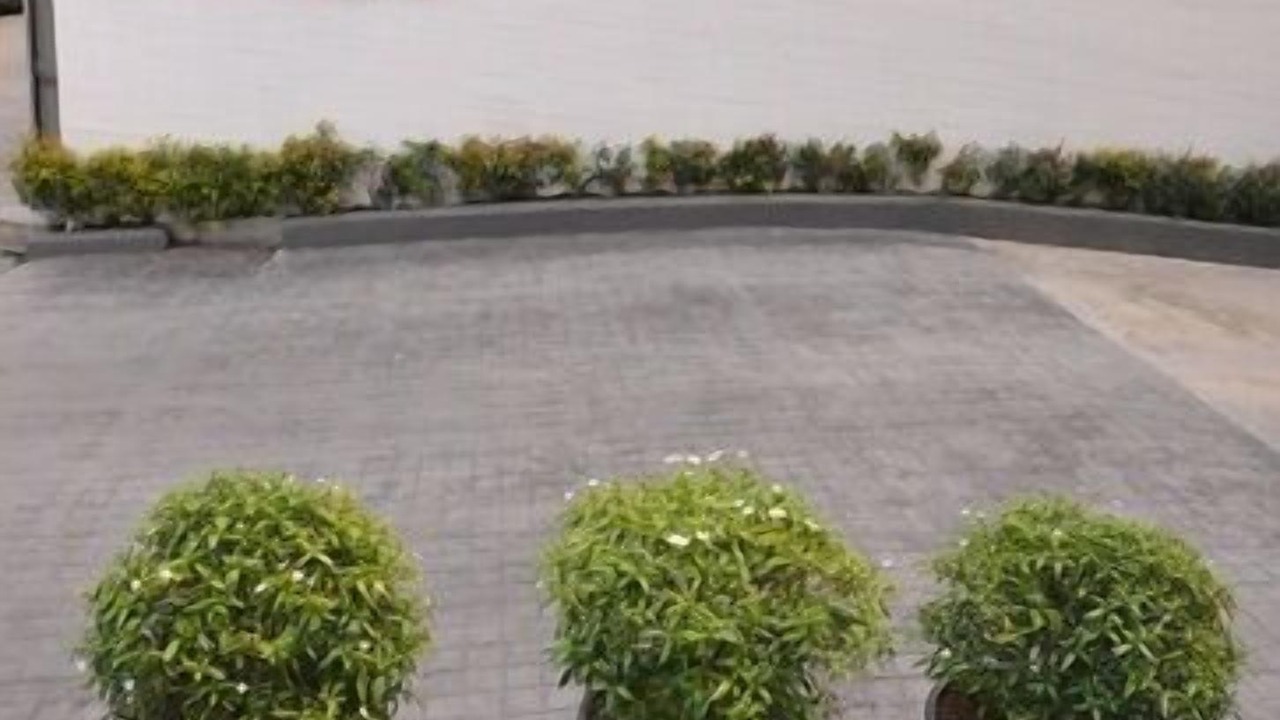 Photo of Outdoor in Phlabphla